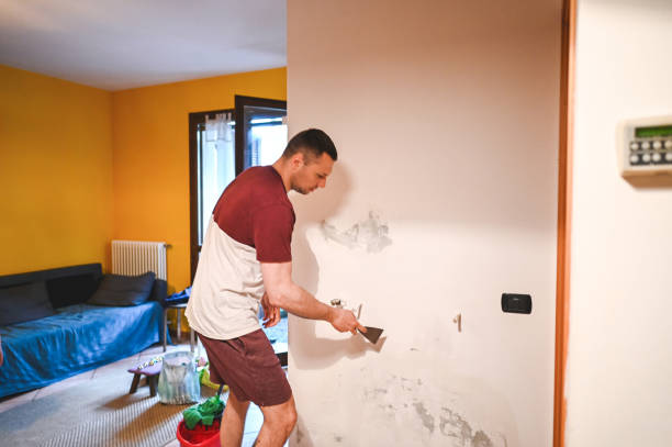 Best Residential Mold Removal  in Bainbridge Island, WA